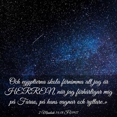 Picture 03 - 2 Mosebok 14:18 SV1917 - Och egyptierna skola förnimma att jag är - Bible Verse Picture