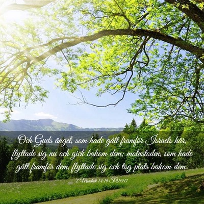 Picture 03 - 2 Mosebok 14:19 SV1917 - Och Guds ängel, som hade gått framför Israels - Bible Verse Picture