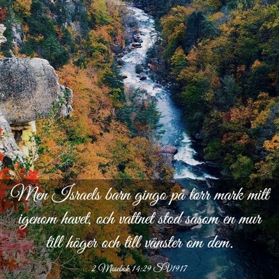 Picture 03 - 2 Mosebok 14:29 SV1917 - Men Israels barn gingo på torr mark mitt igenom - Bible Verse Picture