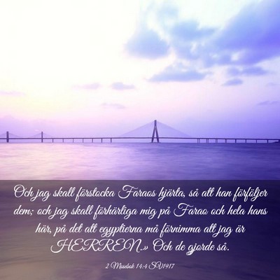Picture 03 - 2 Mosebok 14:4 SV1917 - Och jag skall förstocka Faraos hjärta, så att - Bible Verse Picture