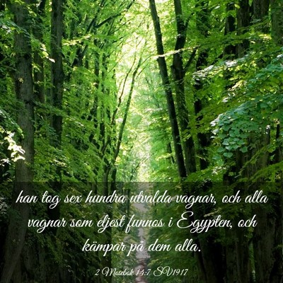 Picture 03 - 2 Mosebok 14:7 SV1917 - han tog sex hundra utvalda vagnar, och alla - Bible Verse Picture