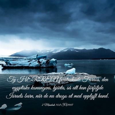 Picture 03 - 2 Mosebok 14:8 SV1917 - Ty HERREN förstockade Faraos, den egyptiske - Bible Verse Picture
