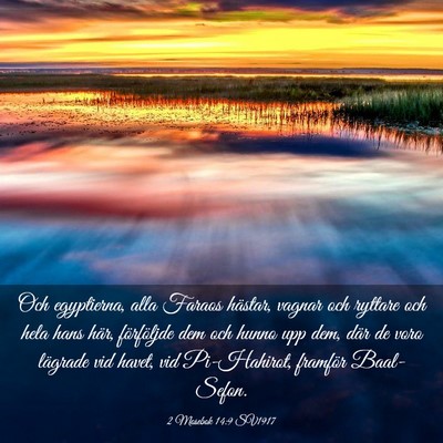 Picture 03 - 2 Mosebok 14:9 SV1917 - Och egyptierna, alla Faraos hästar, vagnar och - Bible Verse Picture