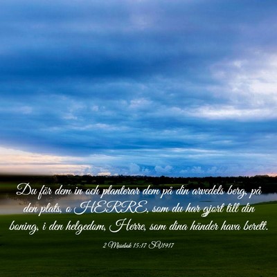 Picture 03 - 2 Mosebok 15:17 SV1917 - Du för dem in och planterar dem på din arvedels - Bible Verse Picture
