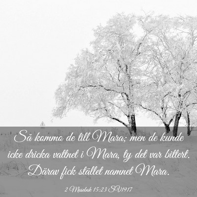 Picture 03 - 2 Mosebok 15:23 SV1917 - Så kommo de till Mara; men de kunde icke dricka - Bible Verse Picture
