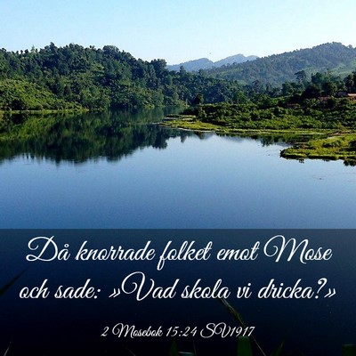 Picture 03 - 2 Mosebok 15:24 SV1917 - Då knorrade folket emot Mose och sade: »Vad - Bible Verse Picture
