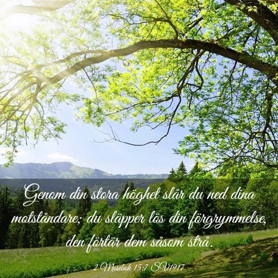 Picture 03 - 2 Mosebok 15:7 SV1917 - Genom din stora höghet slår du ned dina - Bible Verse Picture