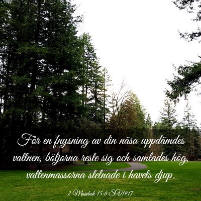Picture 03 - 2 Mosebok 15:8 SV1917 - För en fnysning av din näsa uppdämdes vattnen, - Bible Verse Picture