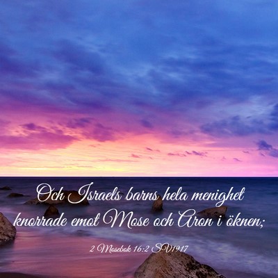 Picture 03 - 2 Mosebok 16:2 SV1917 - Och Israels barns hela menighet knorrade emot - Bible Verse Picture