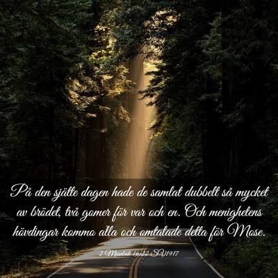 Picture 03 - 2 Mosebok 16:22 SV1917 - På den sjätte dagen hade de samlat dubbelt så - Bible Verse Picture