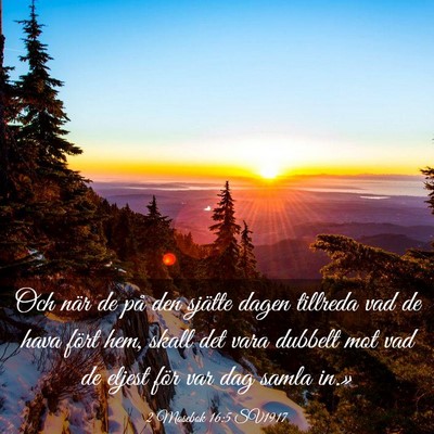 Picture 03 - 2 Mosebok 16:5 SV1917 - Och när de på den sjätte dagen tillreda vad de - Bible Verse Picture