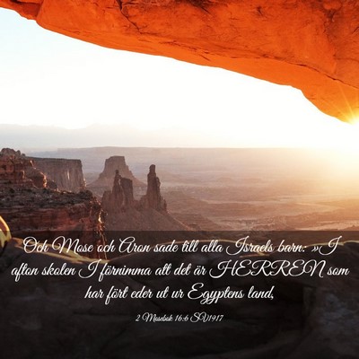 Picture 03 - 2 Mosebok 16:6 SV1917 - Och Mose och Aron sade till alla Israels barn: - Bible Verse Picture