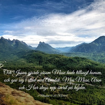 Picture 03 - 2 Mosebok 17:10 SV1917 - Och Josua gjorde såsom Mose hade tillsagt honom, - Bible Verse Picture
