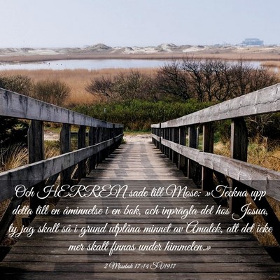Picture 03 - 2 Mosebok 17:14 SV1917 - Och HERREN sade till Mose: »Teckna upp detta - Bible Verse Picture