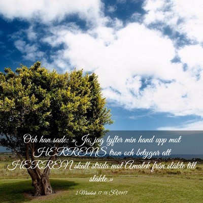 Picture 03 - 2 Mosebok 17:16 SV1917 - Och han sade: »Ja, jag lyfter min hand upp mot - Bible Verse Picture
