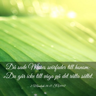 Picture 03 - 2 Mosebok 18:17 SV1917 - Då sade Moses svärfader till honom: »Du går - Bible Verse Picture