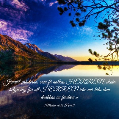 Picture 03 - 2 Mosebok 19:22 SV1917 - Jämväl prästerna, som få nalkas HERREN, skola - Bible Verse Picture