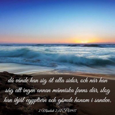 Picture 03 - 2 Mosebok 2:12 SV1917 - då vände han sig åt alla sidor, och när han - Bible Verse Picture