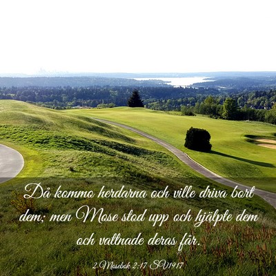 Picture 03 - 2 Mosebok 2:17 SV1917 - Då kommo herdarna och ville driva bort dem; men - Bible Verse Picture
