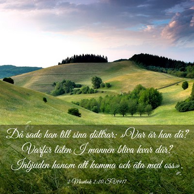 Picture 03 - 2 Mosebok 2:20 SV1917 - Då sade han till sina döttrar: »Var är han - Bible Verse Picture