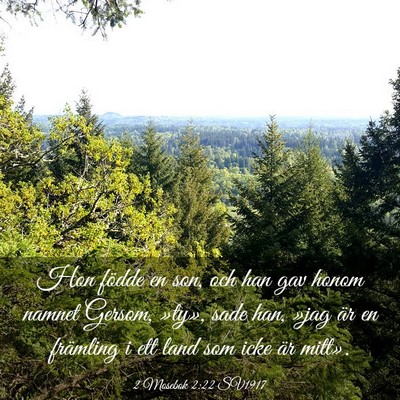 Picture 03 - 2 Mosebok 2:22 SV1917 - Hon födde en son, och han gav honom namnet - Bible Verse Picture