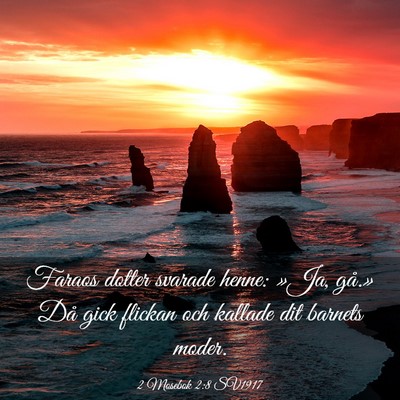 Picture 03 - 2 Mosebok 2:8 SV1917 - Faraos dotter svarade henne: »Ja, gå.» Då - Bible Verse Picture