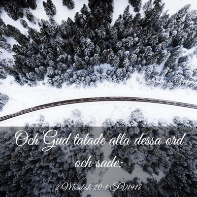 Picture 03 - 2 Mosebok 20:1 SV1917 - Och Gud talade alla dessa ord och - Bible Verse Picture