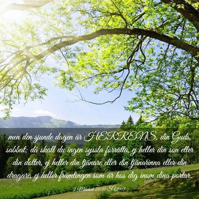 Picture 03 - 2 Mosebok 20:10 SV1917 - men den sjunde dagen är HERRENS, din Guds, - Bible Verse Picture