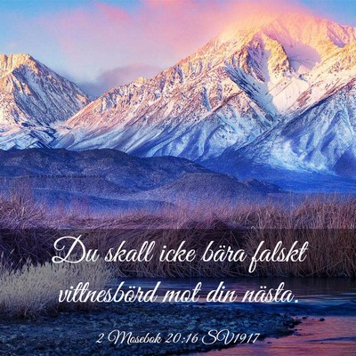 Picture 03 - 2 Mosebok 20:16 SV1917 - Du skall icke bära falskt vittnesbörd mot din - Bible Verse Picture