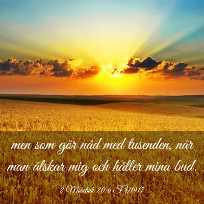 Picture 03 - 2 Mosebok 20:6 SV1917 - men som gör nåd med tusenden, när man älskar - Bible Verse Picture