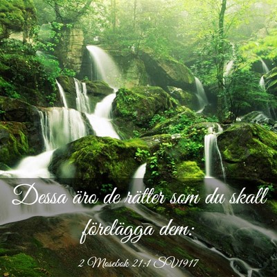 Picture 03 - 2 Mosebok 21:1 SV1917 - Dessa äro de rätter som du skall förelägga - Bible Verse Picture
