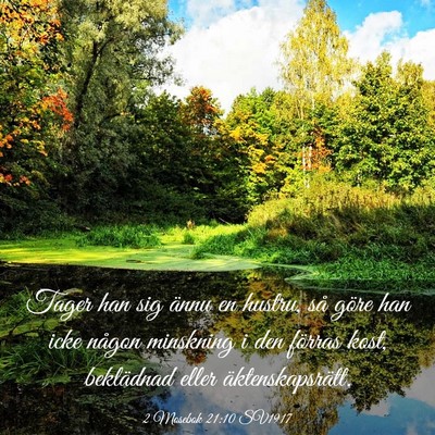 Picture 03 - 2 Mosebok 21:10 SV1917 - Tager han sig ännu en hustru, så göre han icke - Bible Verse Picture