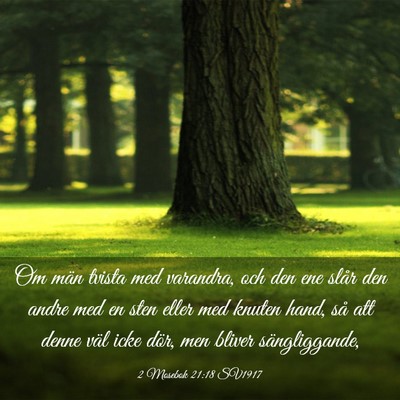 Picture 03 - 2 Mosebok 21:18 SV1917 - Om män tvista med varandra, och den ene slår - Bible Verse Picture