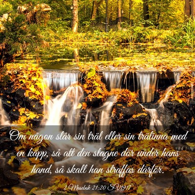 Picture 03 - 2 Mosebok 21:20 SV1917 - Om någon slår sin träl eller sin trälinna med - Bible Verse Picture