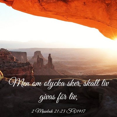 Picture 03 - 2 Mosebok 21:23 SV1917 - Men om olycka sker, skall liv givas för - Bible Verse Picture