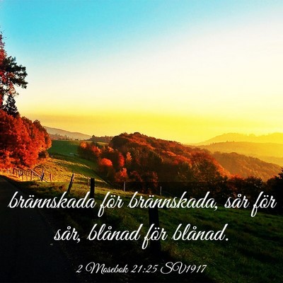 Picture 03 - 2 Mosebok 21:25 SV1917 - brännskada för brännskada, sår för sår, - Bible Verse Picture