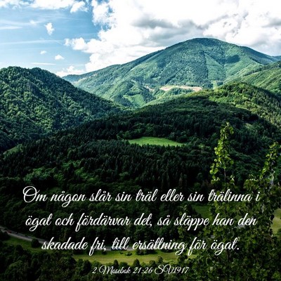 Picture 03 - 2 Mosebok 21:26 SV1917 - Om någon slår sin träl eller sin trälinna i - Bible Verse Picture