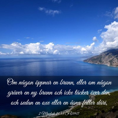 Picture 03 - 2 Mosebok 21:33 SV1917 - Om någon öppnar en brunn, eller om någon - Bible Verse Picture
