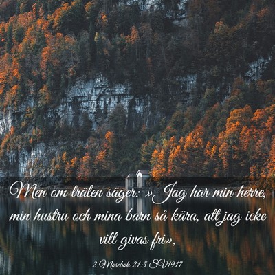 Picture 03 - 2 Mosebok 21:5 SV1917 - Men om trälen säger: »Jag har min herre, min - Bible Verse Picture
