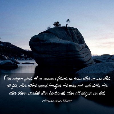 Picture 03 - 2 Mosebok 22:10 SV1917 - Om någon giver åt en annan i förvar en åsna - Bible Verse Picture