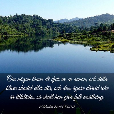 Picture 03 - 2 Mosebok 22:14 SV1917 - Om någon lånar ett djur av en annan, och detta - Bible Verse Picture