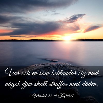 Picture 03 - 2 Mosebok 22:19 SV1917 - Var och en som beblandar sig med något djur - Bible Verse Picture