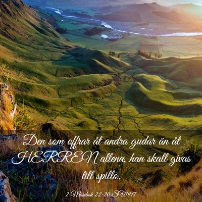 Picture 03 - 2 Mosebok 22:20 SV1917 - Den som offrar åt andra gudar än åt HERREN - Bible Verse Picture