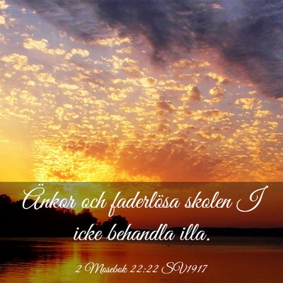 Picture 03 - 2 Mosebok 22:22 SV1917 - Änkor och faderlösa skolen I icke behandla - Bible Verse Picture
