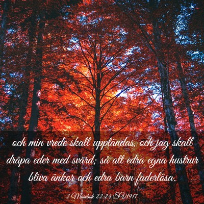 Picture 03 - 2 Mosebok 22:24 SV1917 - och min vrede skall upptändas, och jag skall - Bible Verse Picture
