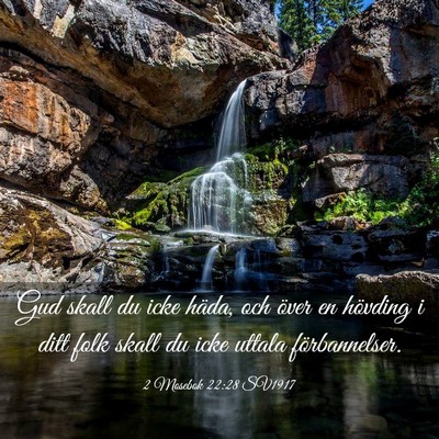 Picture 03 - 2 Mosebok 22:28 SV1917 - Gud skall du icke häda, och över en hövding i - Bible Verse Picture