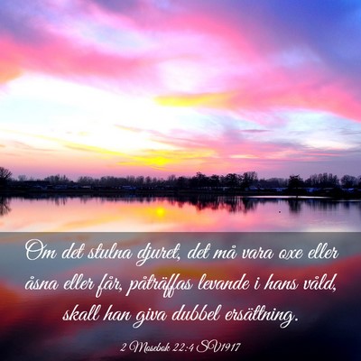 Picture 03 - 2 Mosebok 22:4 SV1917 - Om det stulna djuret, det må vara oxe eller - Bible Verse Picture