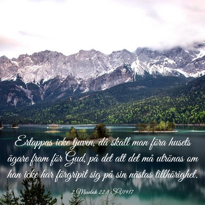 Picture 03 - 2 Mosebok 22:8 SV1917 - Ertappas icke tjuven, då skall man föra husets - Bible Verse Picture