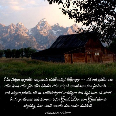 Picture 03 - 2 Mosebok 22:9 SV1917 - Om fråga uppstår angående orättrådigt - Bible Verse Picture
