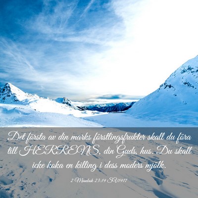 Picture 03 - 2 Mosebok 23:19 SV1917 - Det första av din marks förstlingsfrukter skall - Bible Verse Picture
